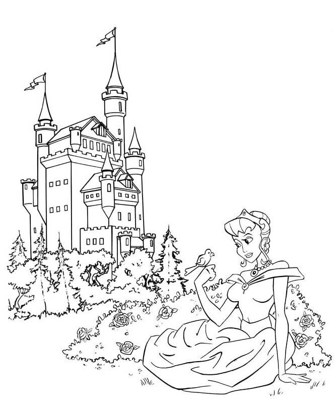 [castle+and+princess.jpg]