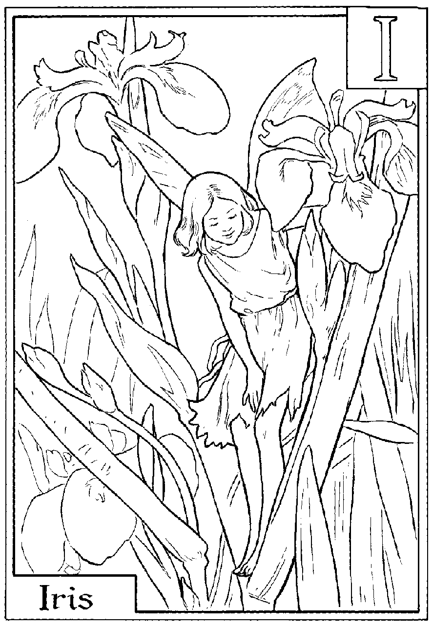 fairy flower coloring pages - photo #7