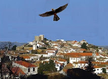 A GRANDIOSA E BICENTENÁRIA CIDADE DE PINHEL, A CIDADE FALCÃO: