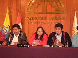REPRESENTANTES DE MOVIMIENTOS INDIGENAS DE BOLIVIA