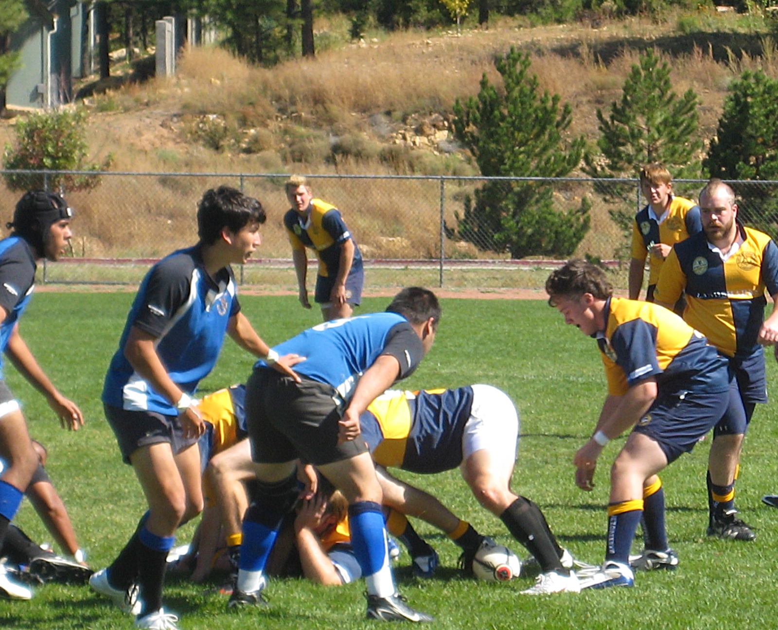 Mountain Mail Archives Big Wins For Tech Rugby Club