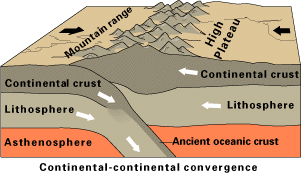 [Fig21contcont.gif]