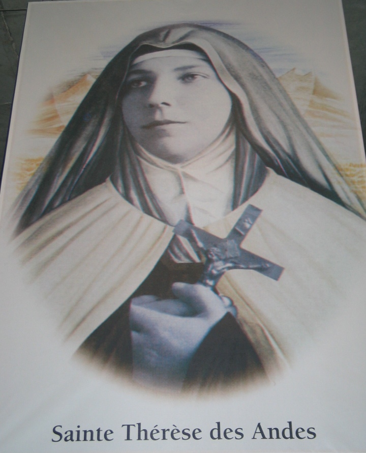 [Lourdes+Banner-St.+Teresa+of+the+Andescropped.jpg]
