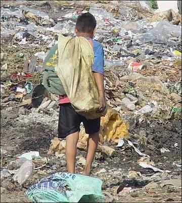 [212473_fo11[1].jpg]