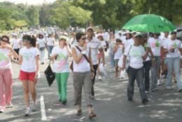 [caminantes_vida.jpg]