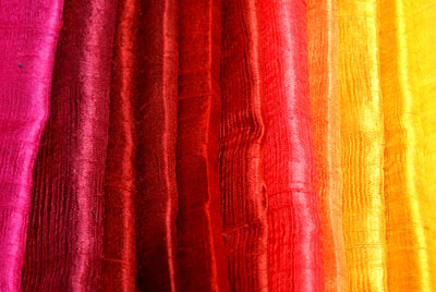 Cérnakuckó: szeptember 2010