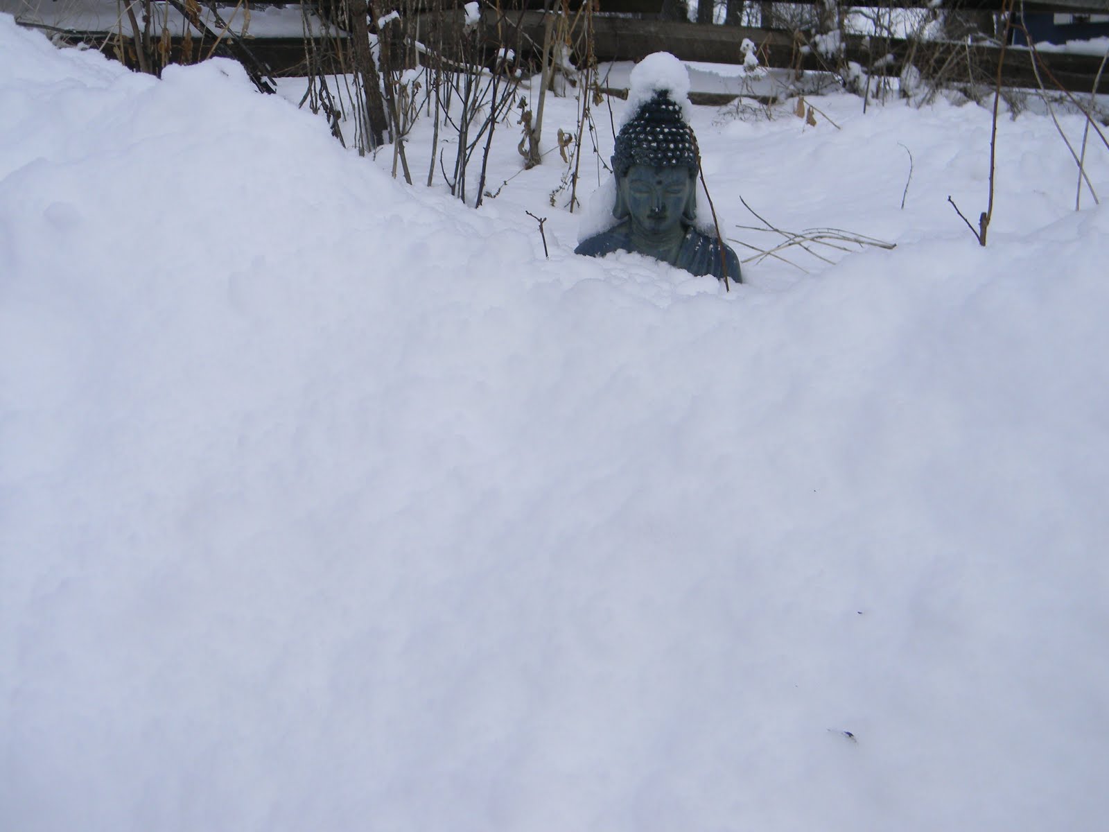 High Street Yoga Yoga for Snow Shoveling