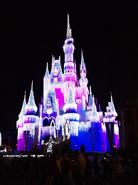 Holiday Castle