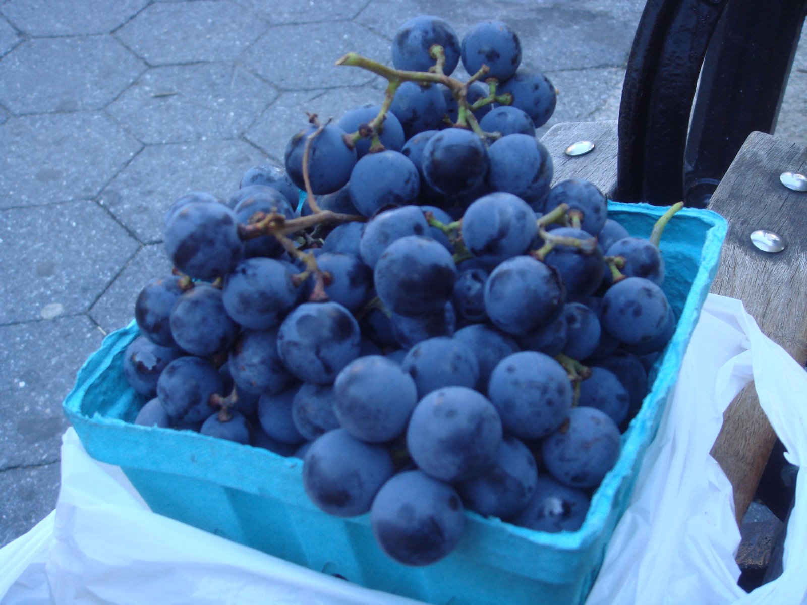 [Greenmkt+Concords+Closeup.jpg]