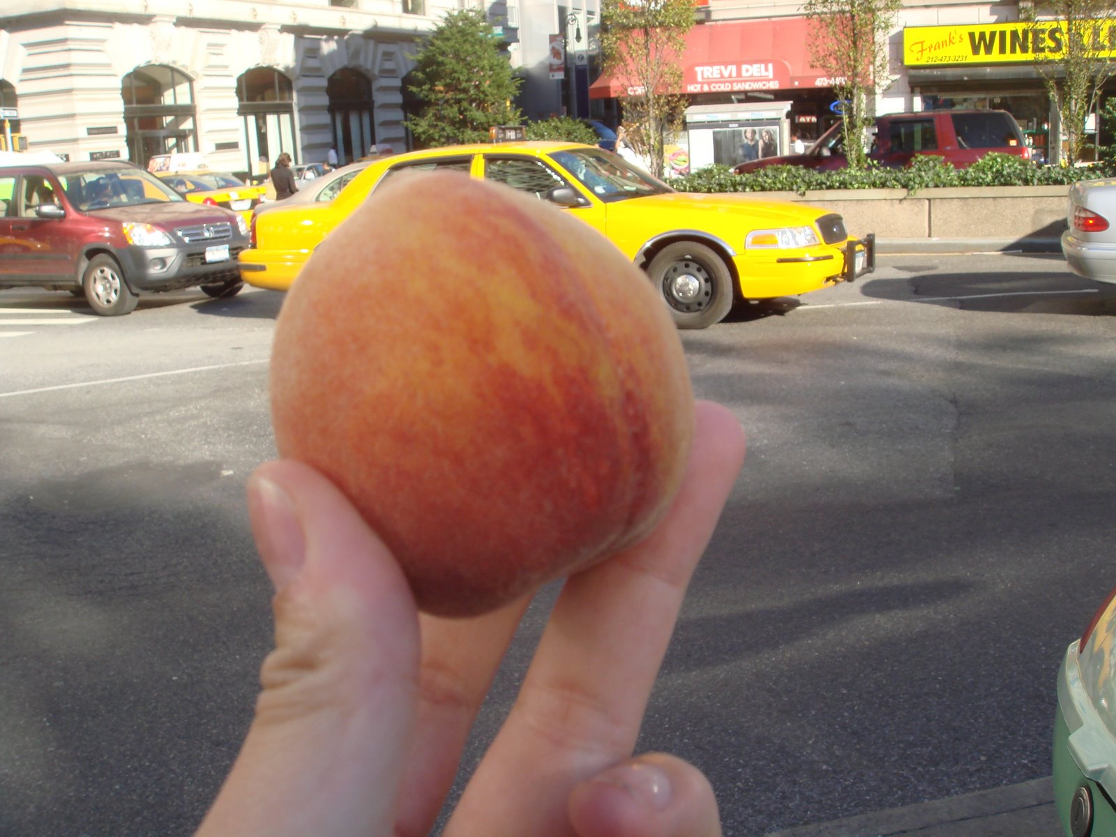 [Greenmkt+Peach.jpg]