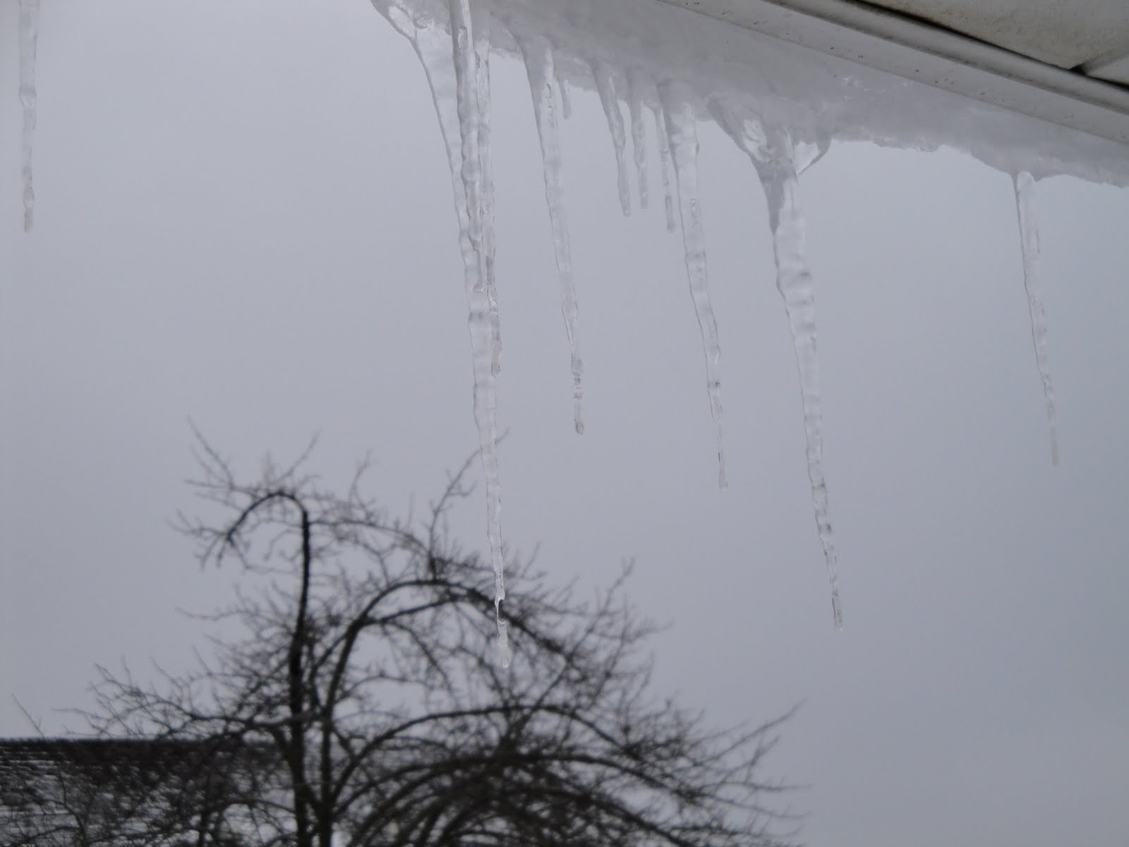 [icicles+001.JPG]