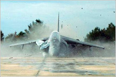 harrier-3.jpg