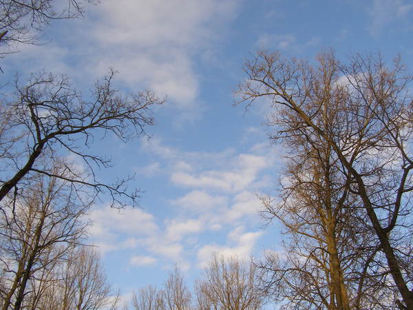 [P3180032.JPG]