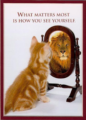 cat_lion_perception.jpg