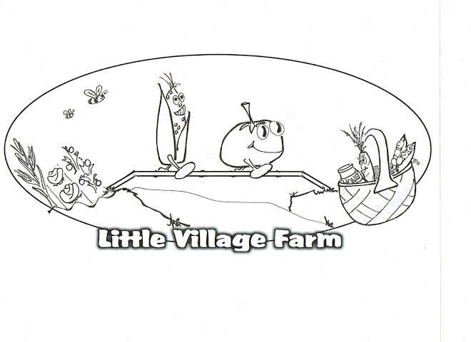Little Village Farm