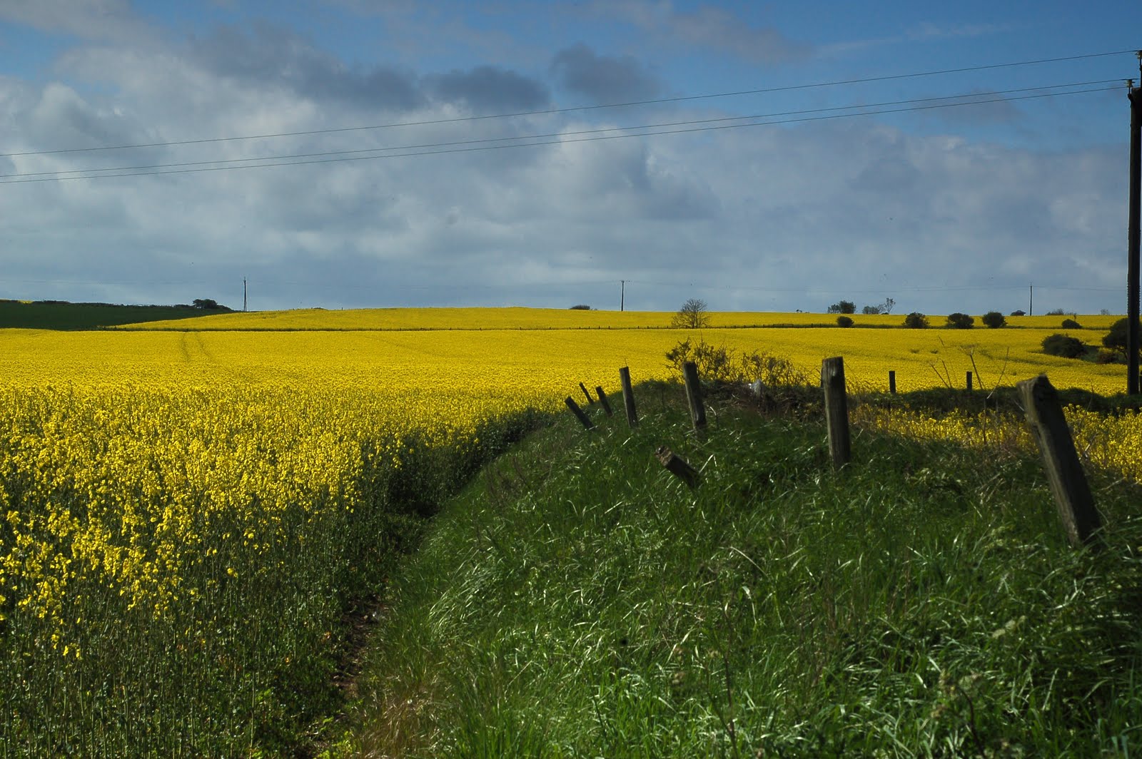 Andrew Peake Photography Landscapes