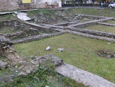 Vestigii daco-romane.....