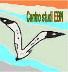 Centro Studi EBN