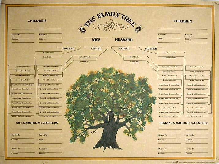 blank family tree template or