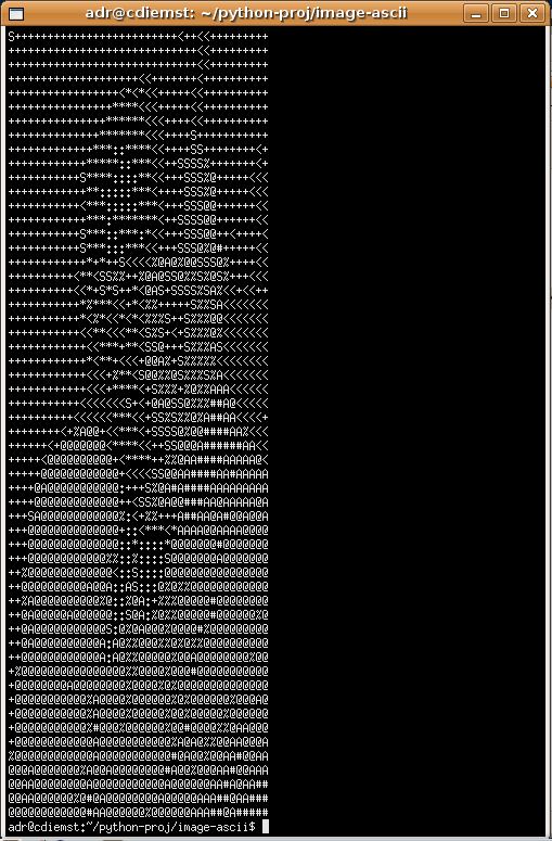 Carpe diem...: Image to ascii art in Python