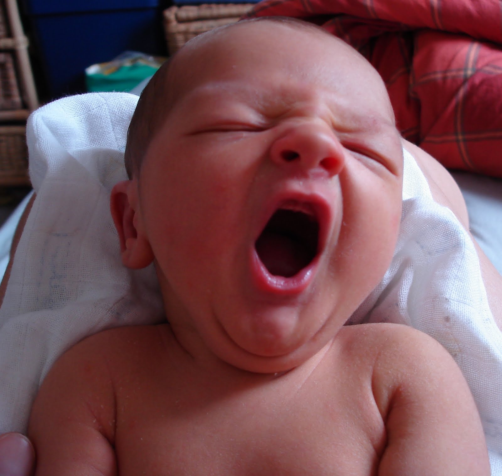 Buongiorno...e casomai non vi rivedessi, buon