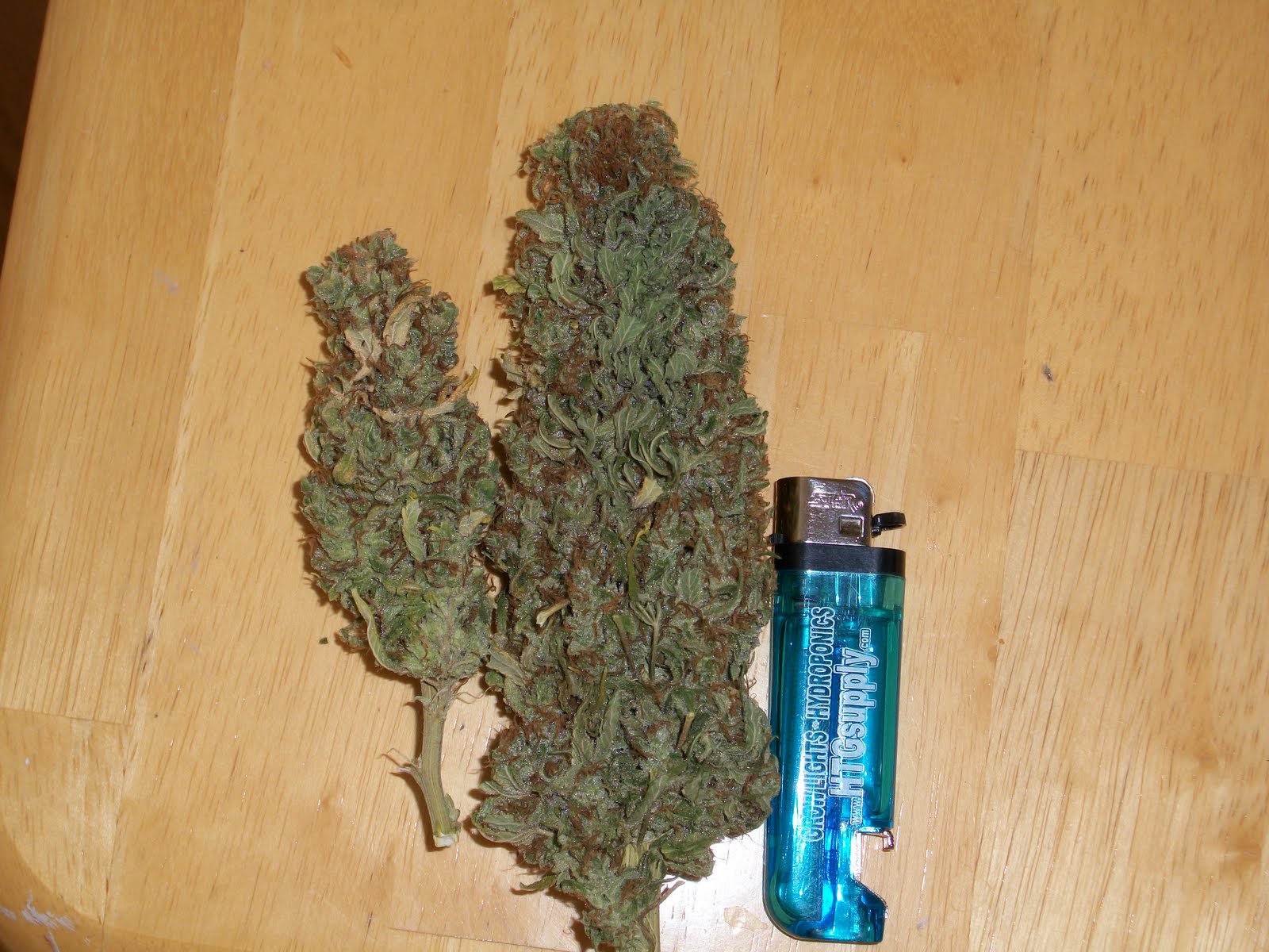 About TehBosh METAL GROW SOLID