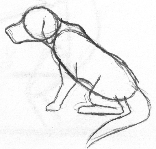 How to Draw a Dog - Draw Central