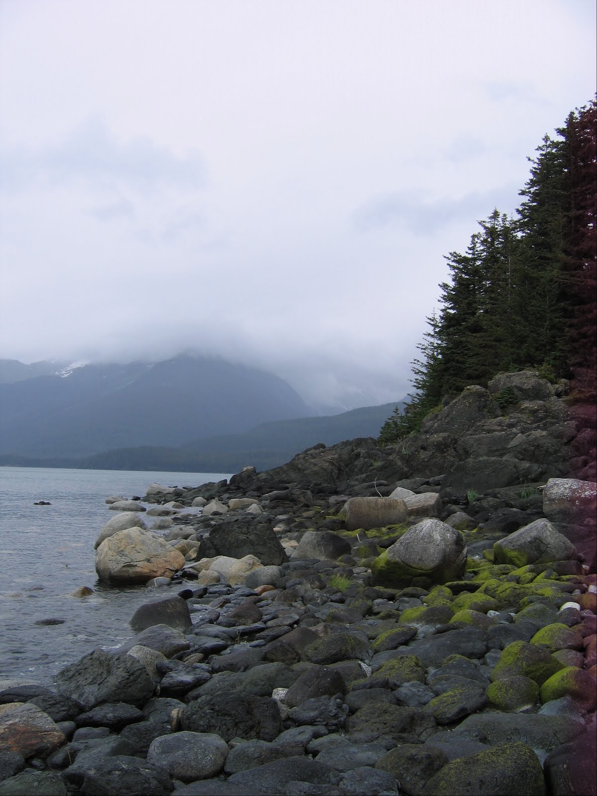 Navigating Juneau Point Bridget