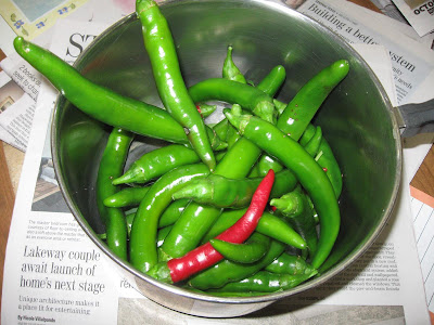 Annieinaustin, Garden Salsa peppers