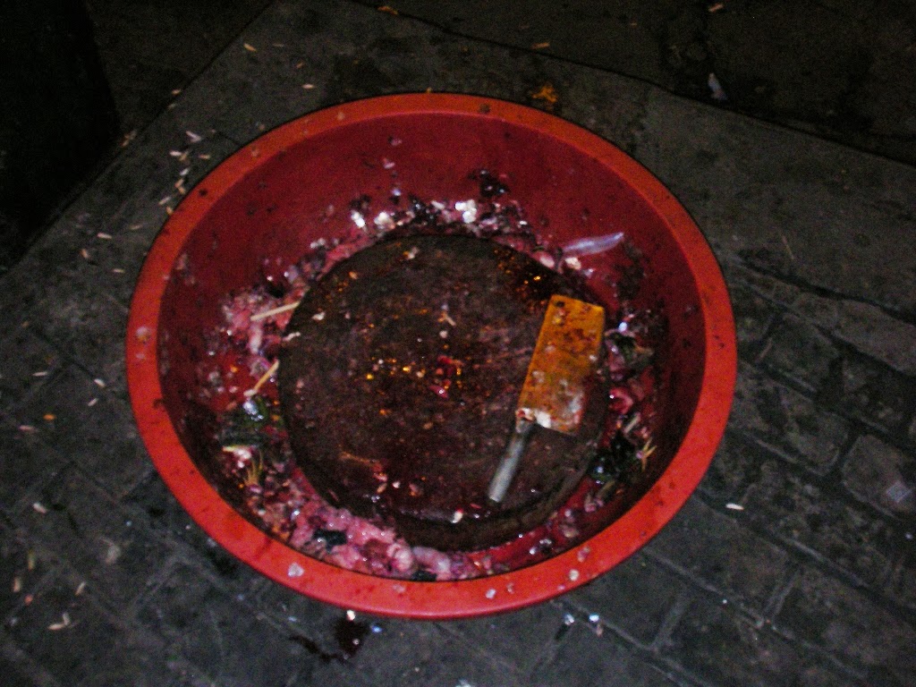[SANY0676.JPG]