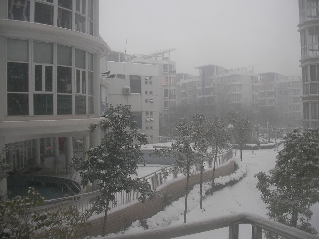[SANY0075.JPG]