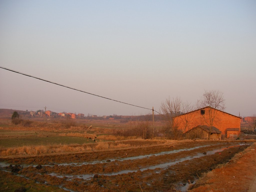 [SANY0354.JPG]