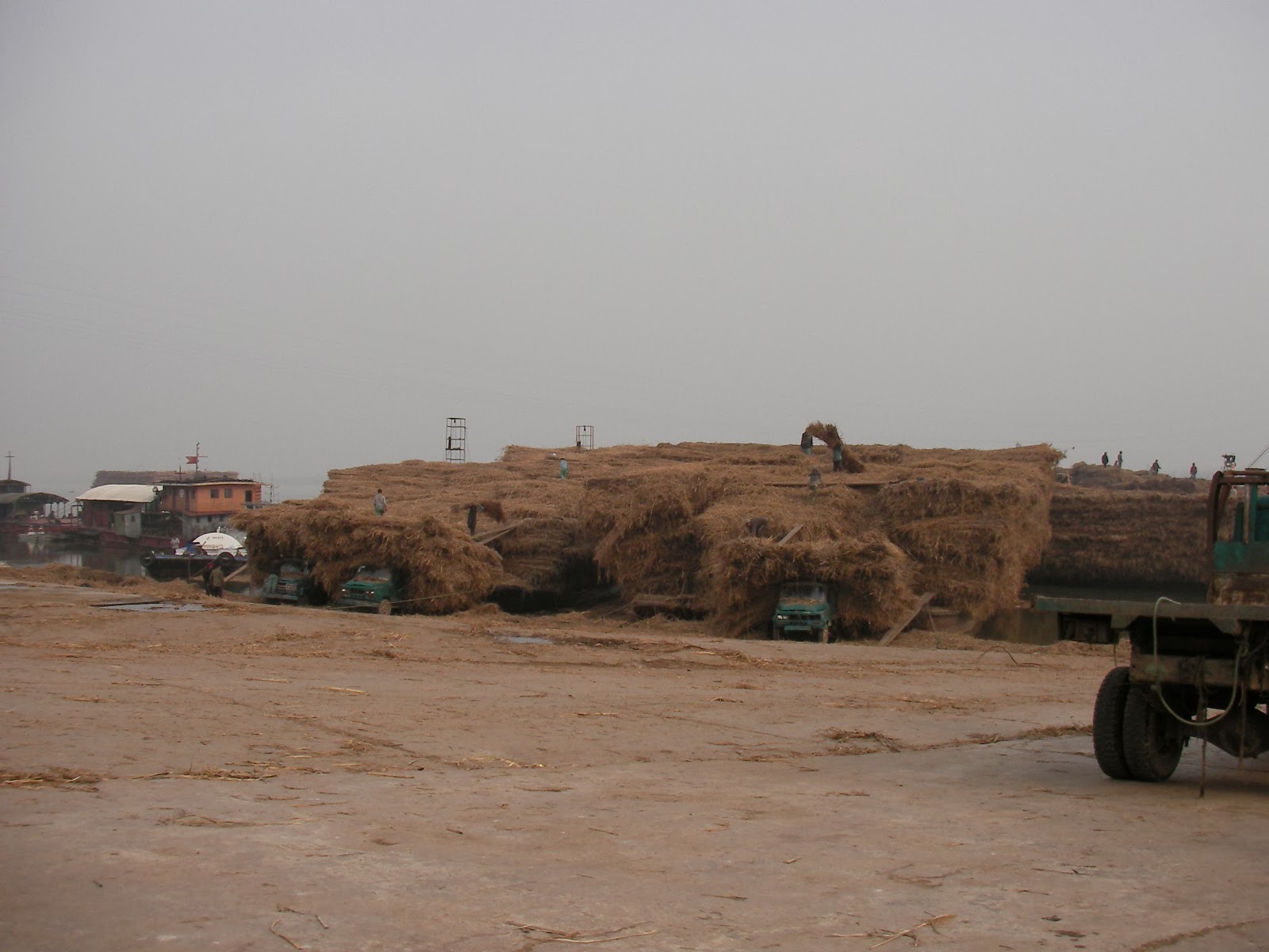 [SANY0650.JPG]