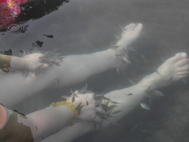 [DSCN9821.JPG]