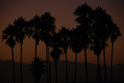 Días 23, 24 y 25: Los Angeles  - 26 dias en USA (37)