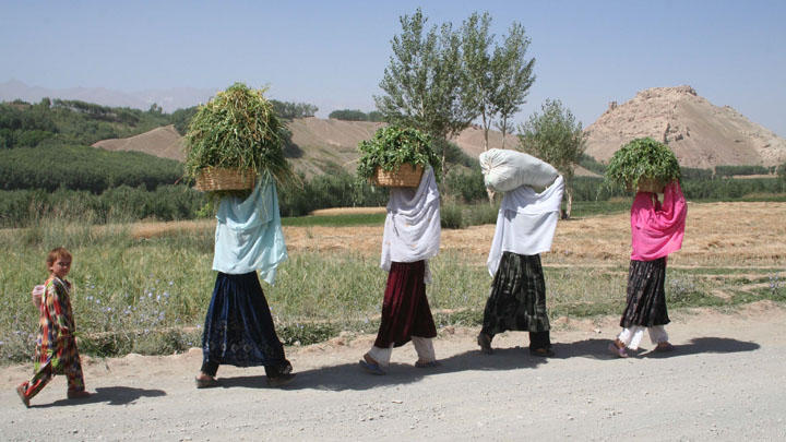 [audition_3.720x405.jpg.jpeg]