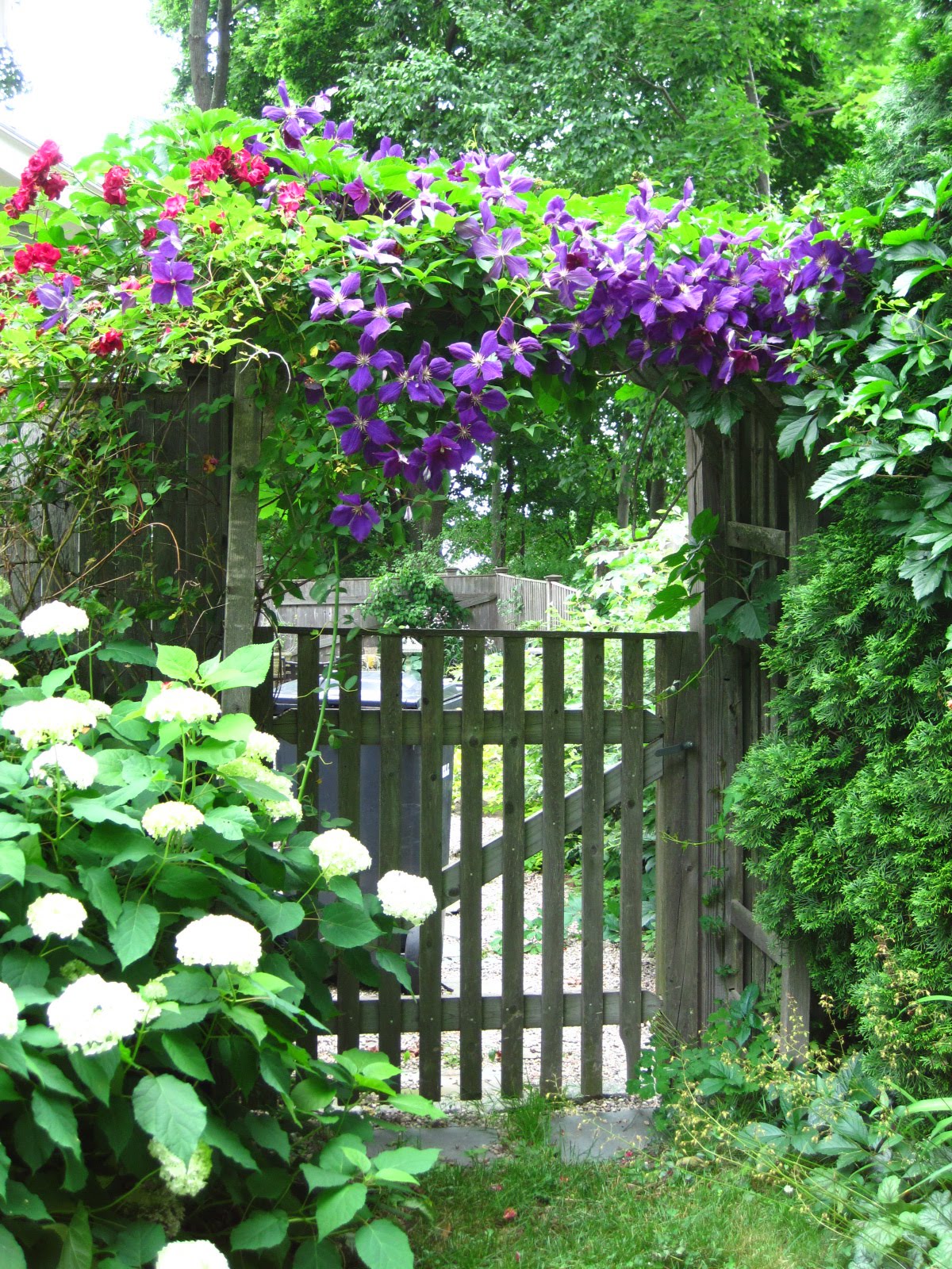 Gillianasana: What's in a Name...or Post Title