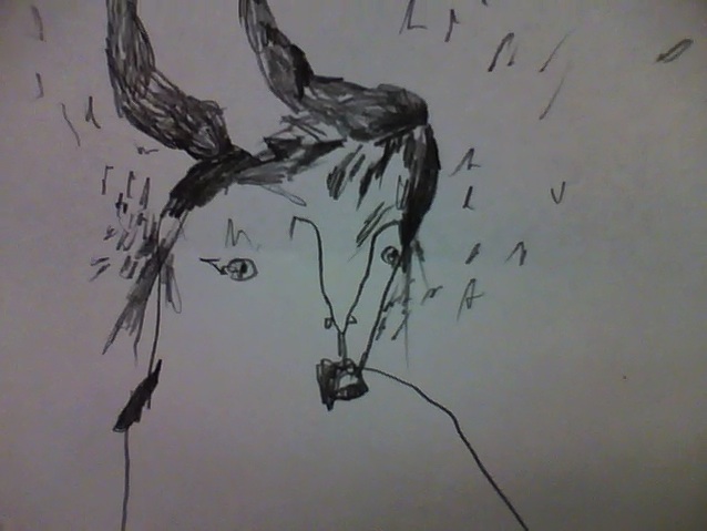 [Little+Cow+Girl+2.jpg]