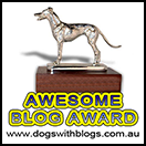 Awesome Blog Award