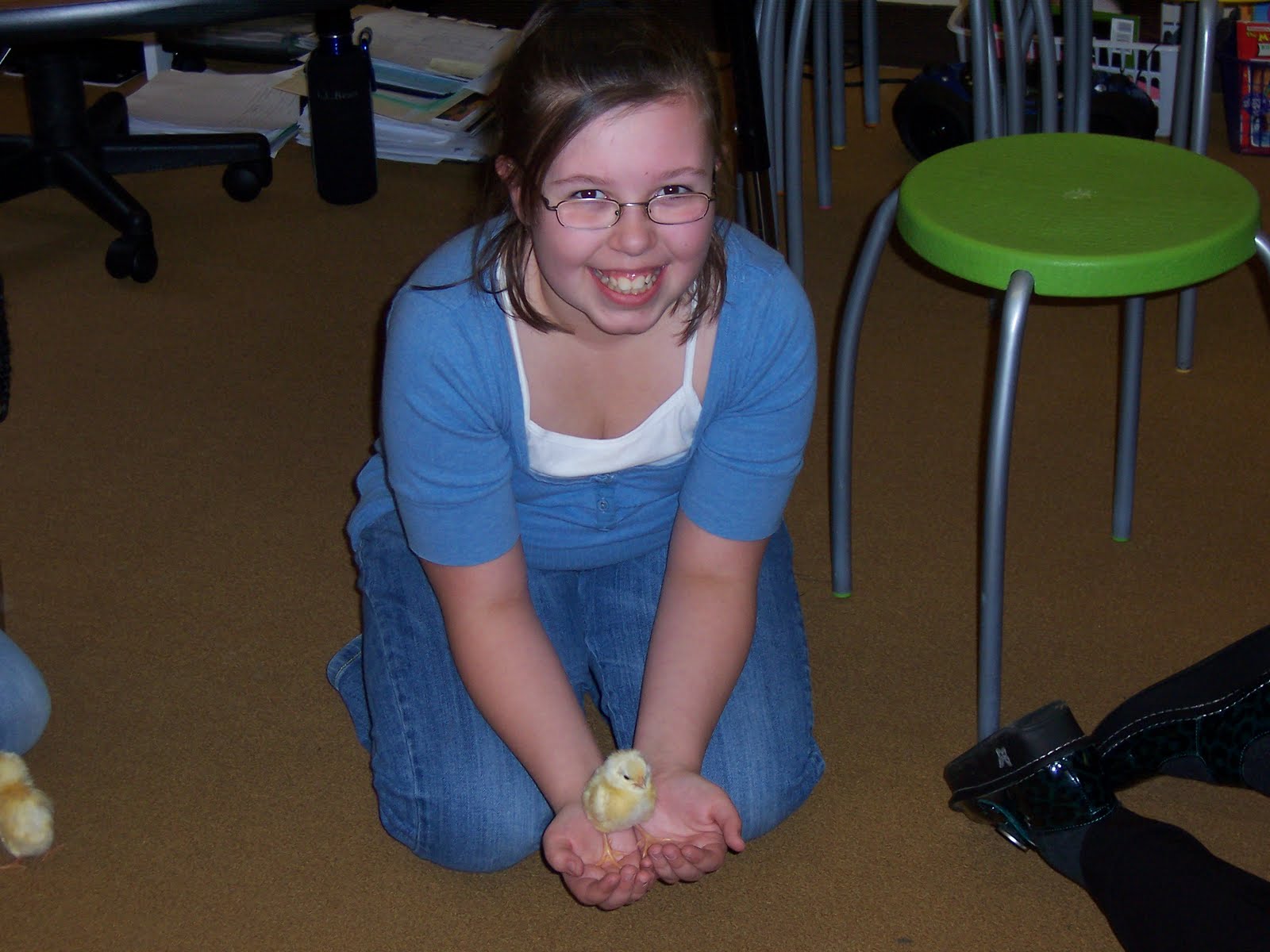 Room 229 4th Grade BLOG Playing with Chicks!!