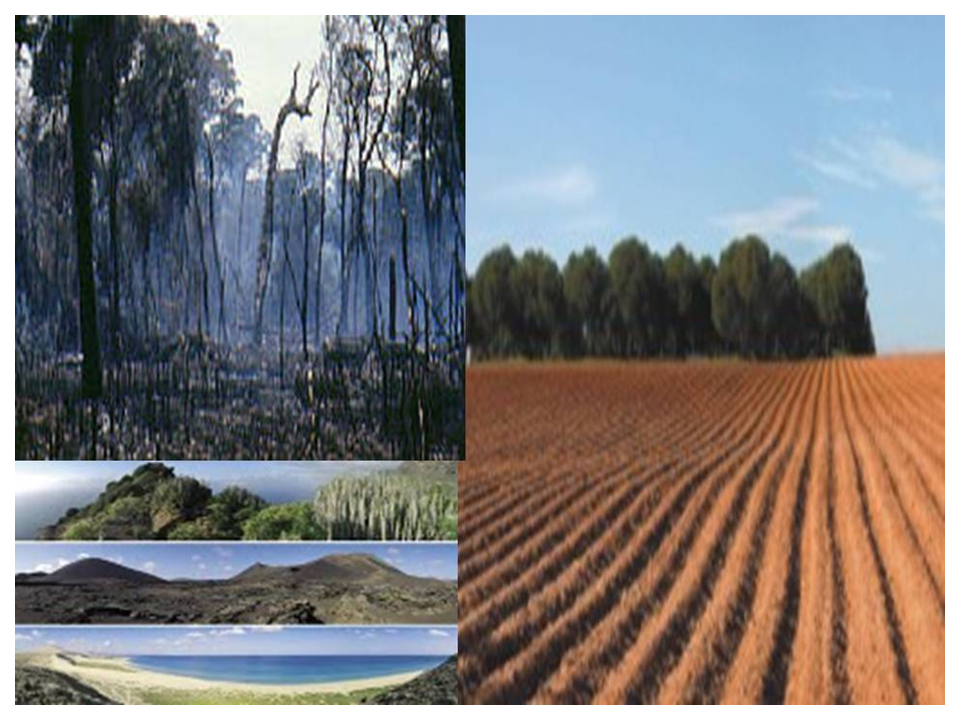 Habitat antropogenicos