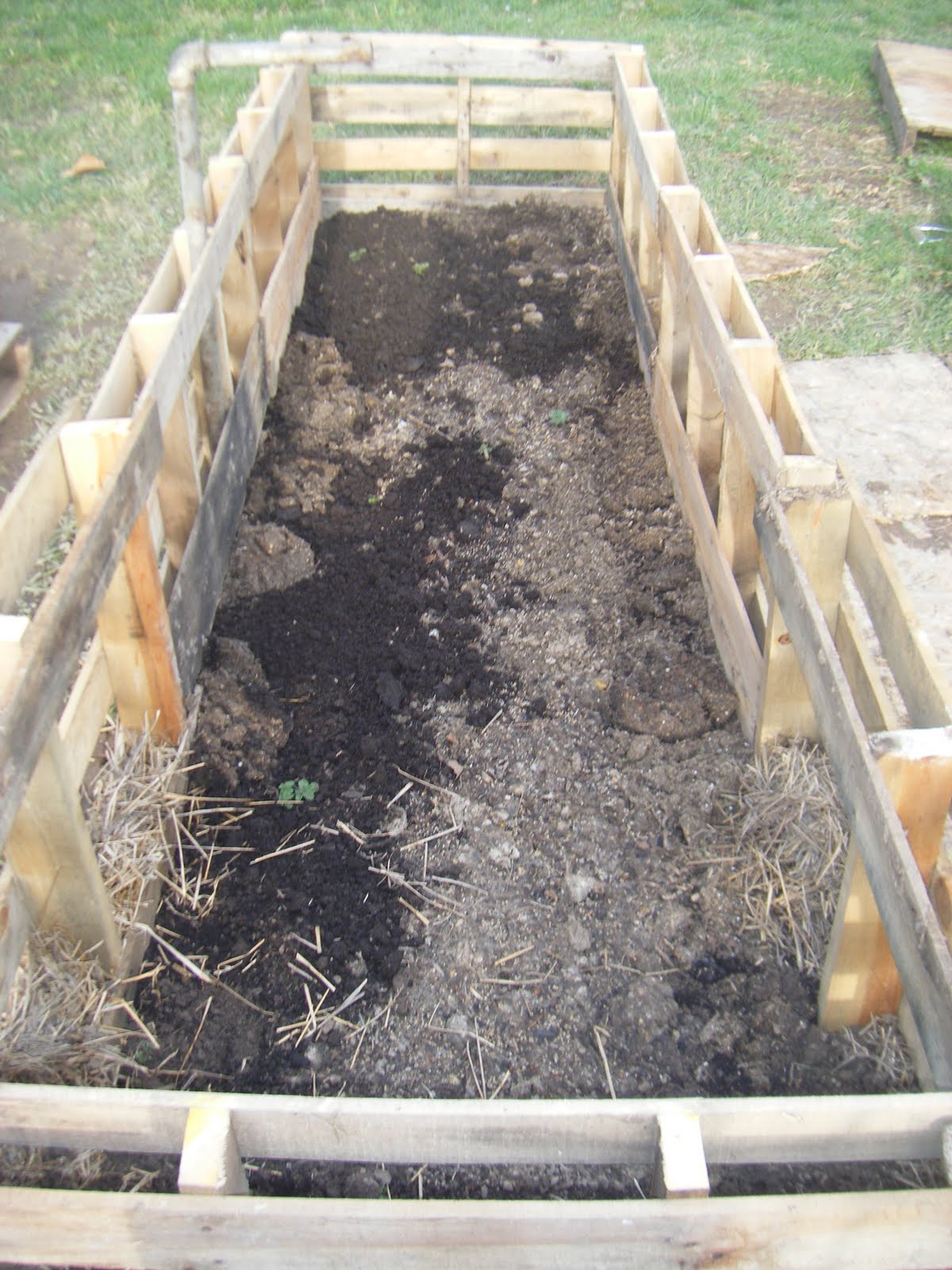 Green Acres and Misty Skies New *Improved* Potato Bins