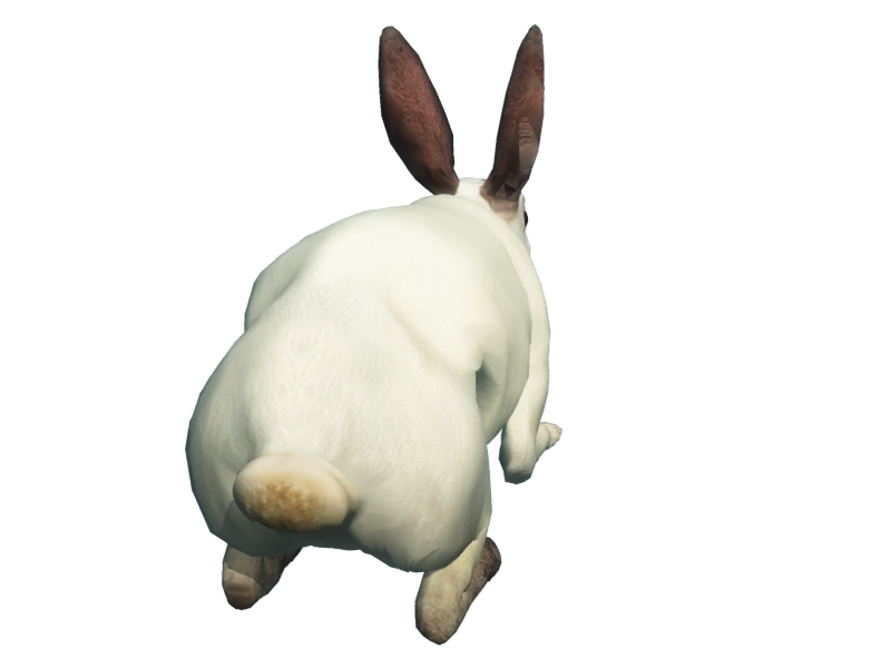 Bunny Rabbit Art And Craft Bunny Rabbit Art And Craft