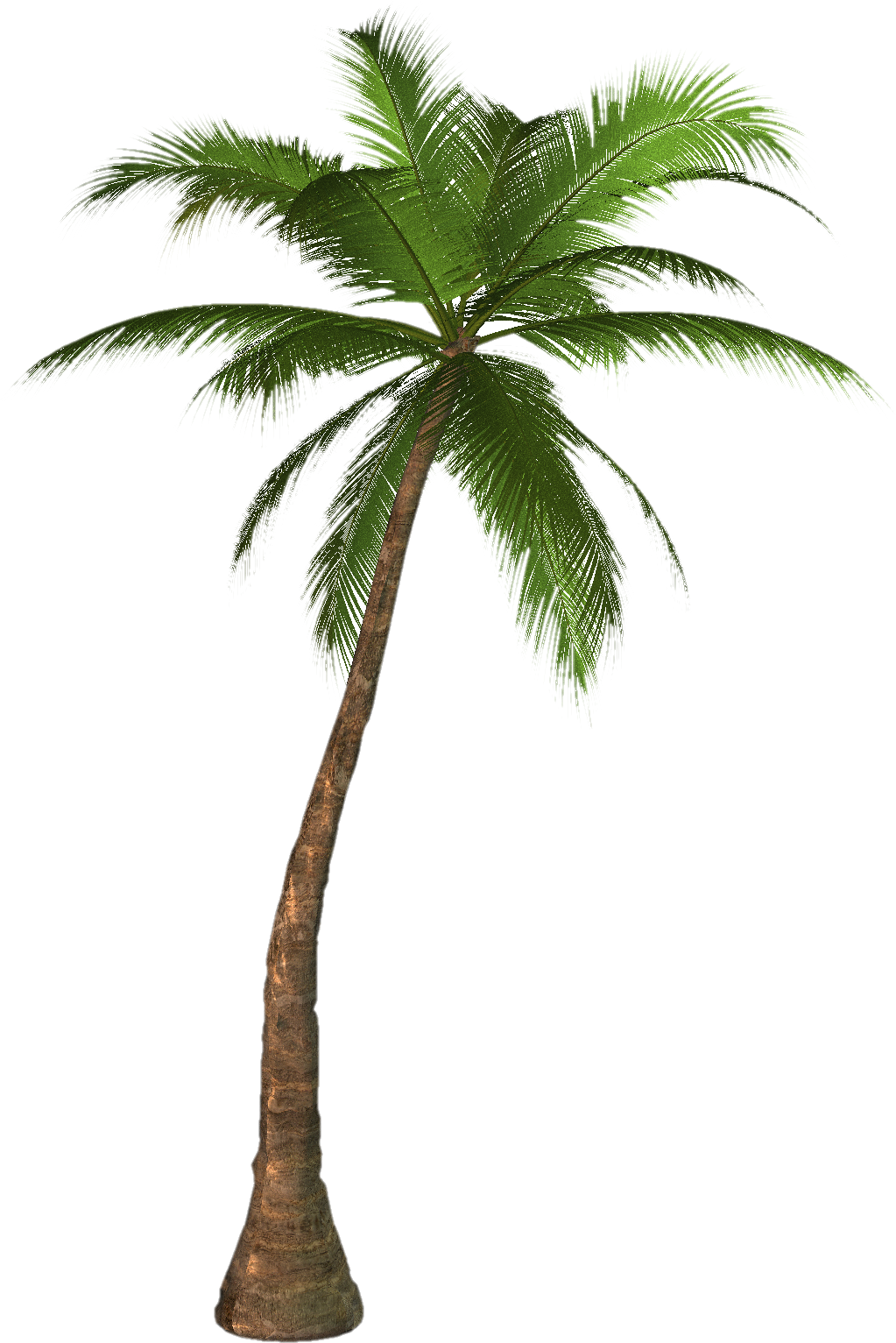 palm tree clip art - photo #40