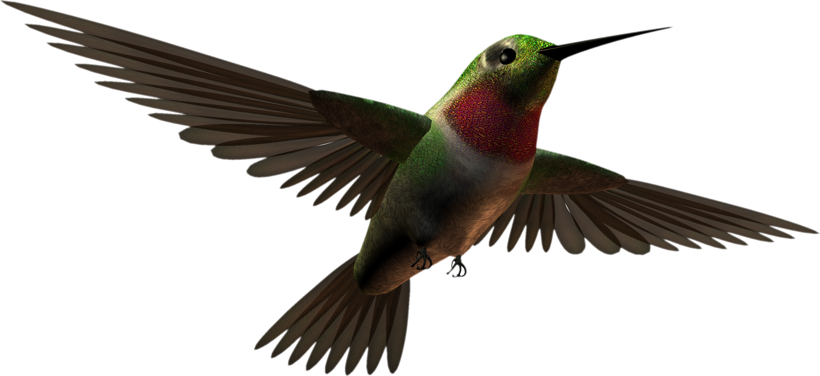 free animated hummingbird clipart - photo #25