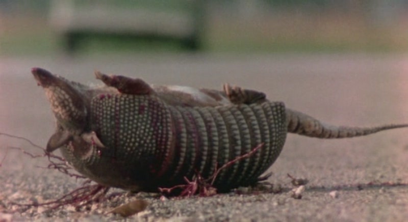 [Tehasskaya.Reznya.Benzopiloy.1974.(Rus.Eng.Rus).VideoDead.&.ShareReactor.ru[(007289)18-34-51].JPG]