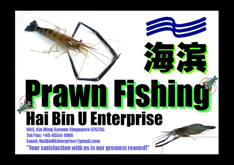 Prawn Fishing - Bishan (Singapore)
