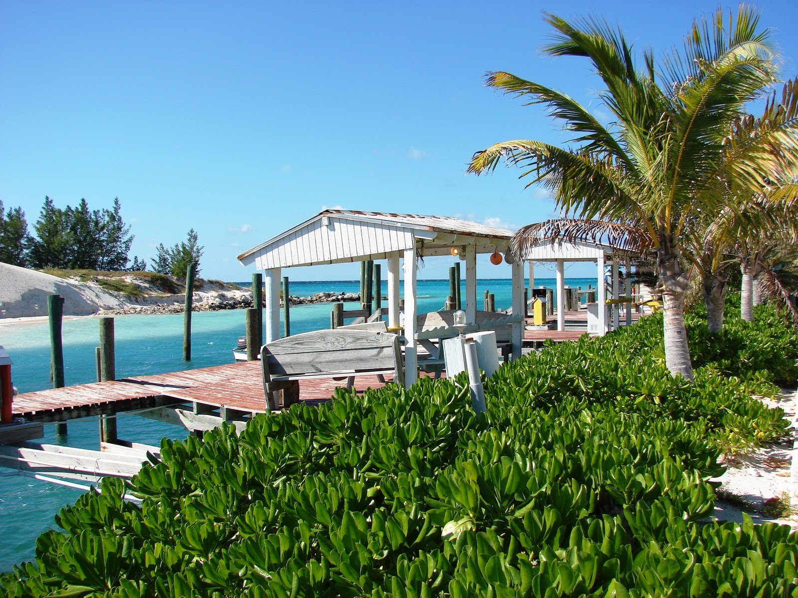 "Kaos" Caribbean Kapers Rum Cay, Far Bahamas