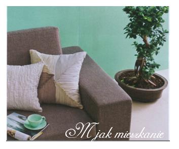 [m+jak+mieskzanie+2.JPG]