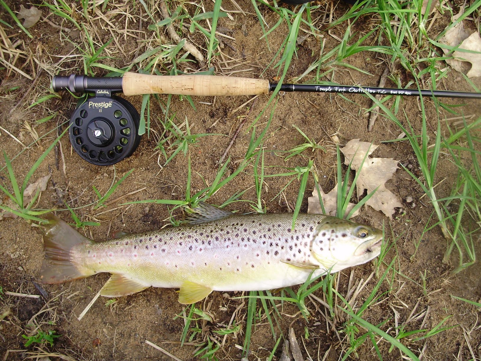The Slippery Trout A Fly Fishing Blog Fly Fishing Penns Creek in April